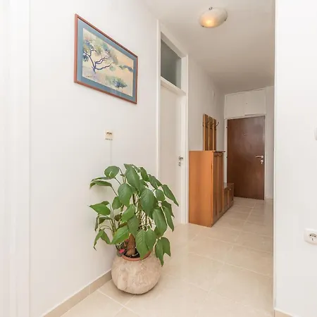 Centar Glavas Макарска