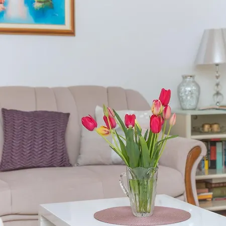 Centar Glavas * Макарска