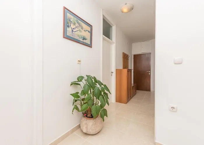 Centar Glavas ماكارسكا