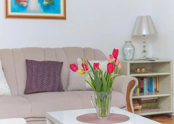 Centar Glavas * ماكارسكا